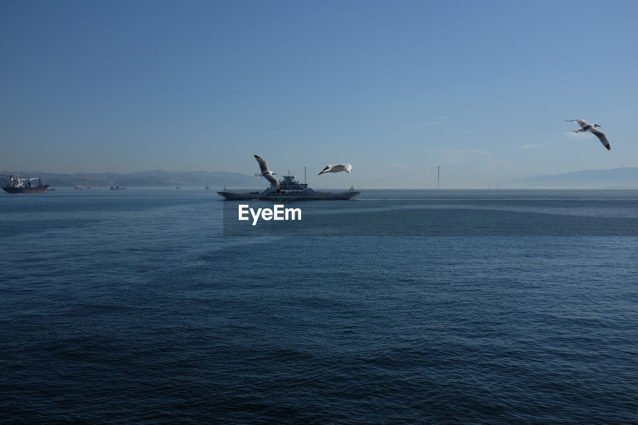 Ship sailing in sea against clear sky on sunny day