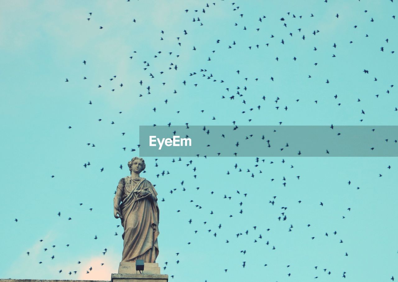 Low angle view of birds flying against sky