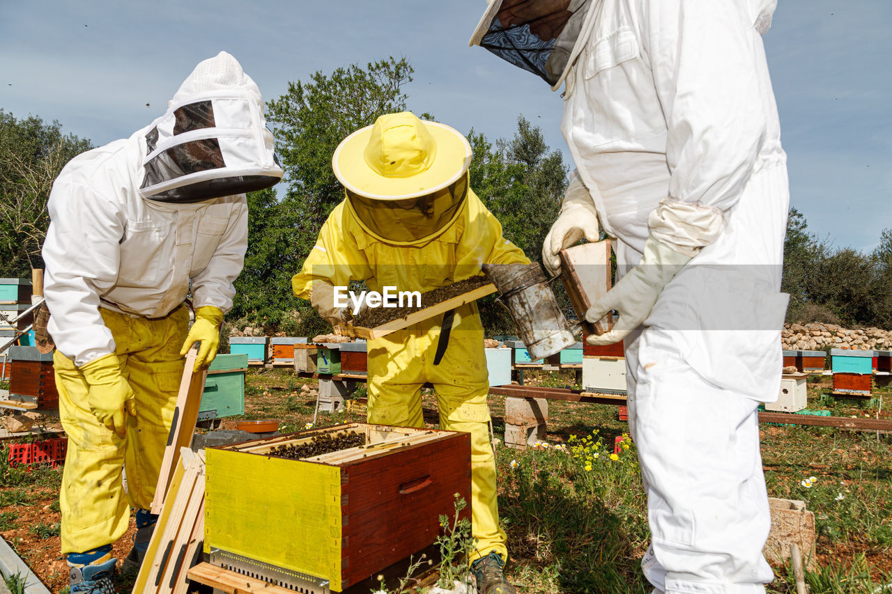 Group of unrecognizable beekeepers in protective costumes and masks using smoker while inspecting honeycomb in apiary