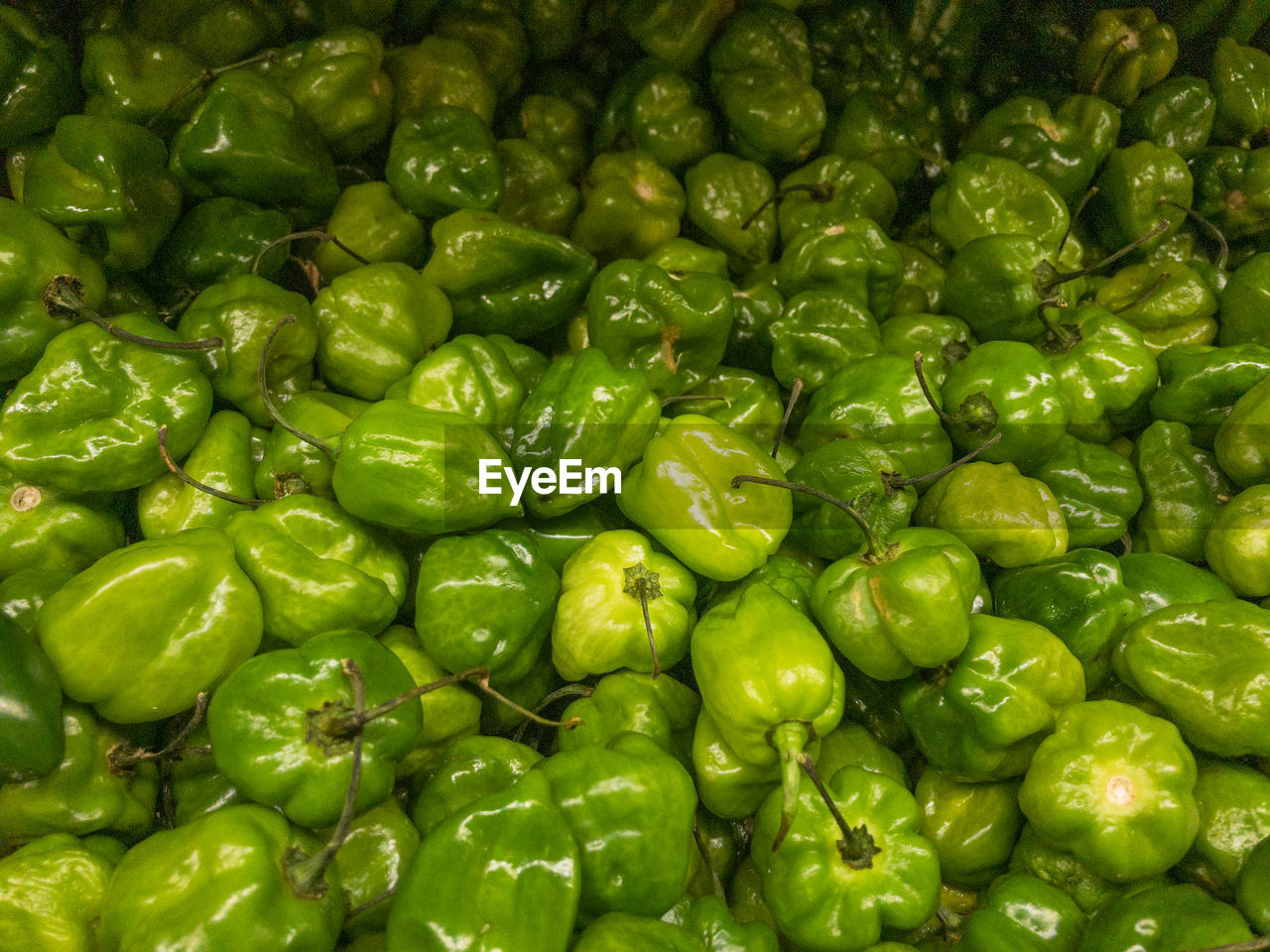 FULL FRAME SHOT OF VEGETABLES