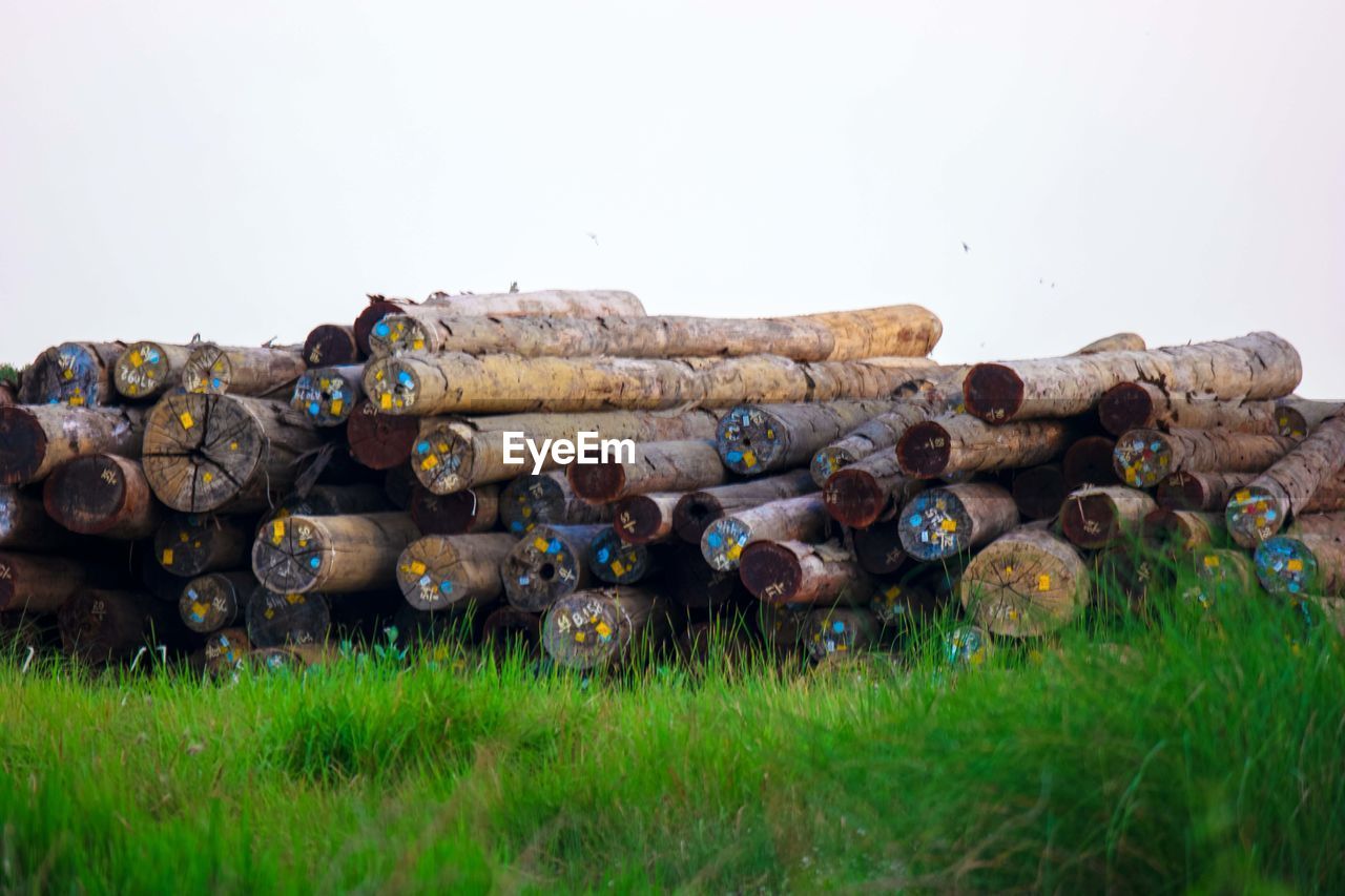 Stack of logs woods on field against clear sky