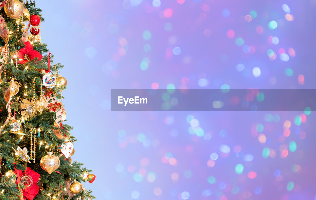 Close-up of christmas tree against colored background