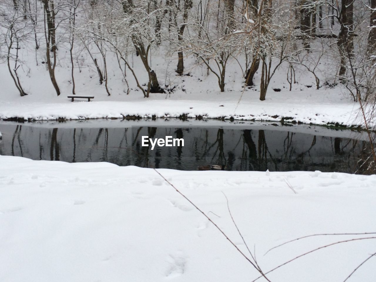 SNOW COVERED LANDSCAPE