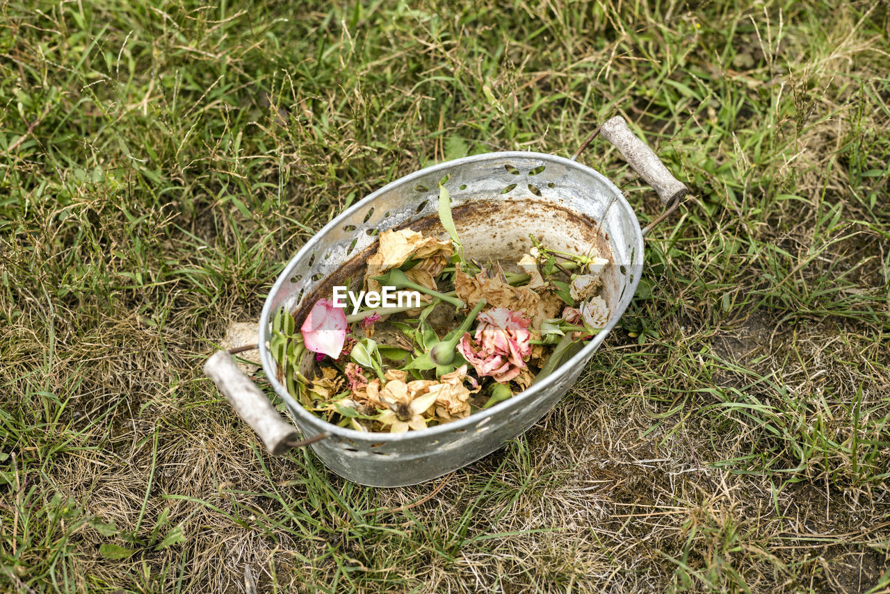 HIGH ANGLE VIEW OF FOOD IN BOWL ON FIELD