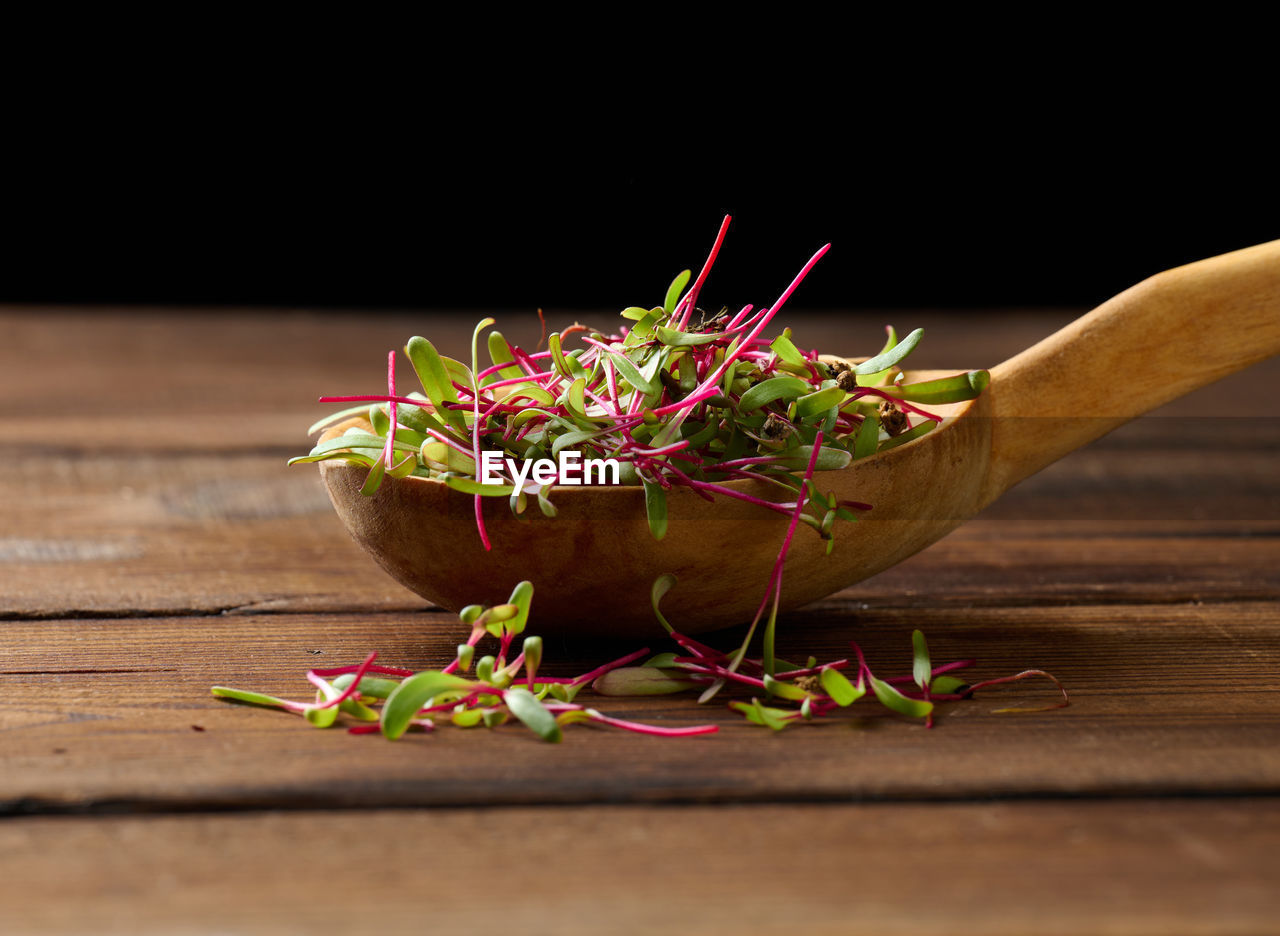 Fresh beet sprouts in a wooden spoon on the table. microgreen for salad, detox