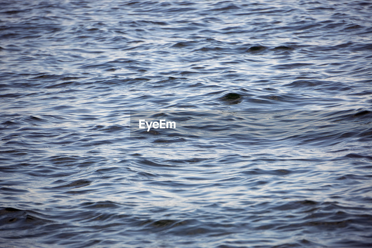 HIGH ANGLE VIEW OF A SEA