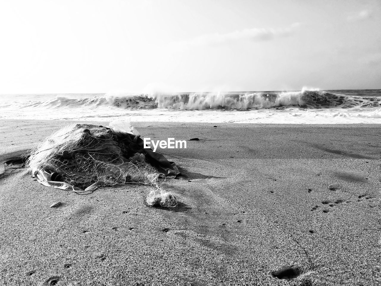 Driftwood on beach against sky