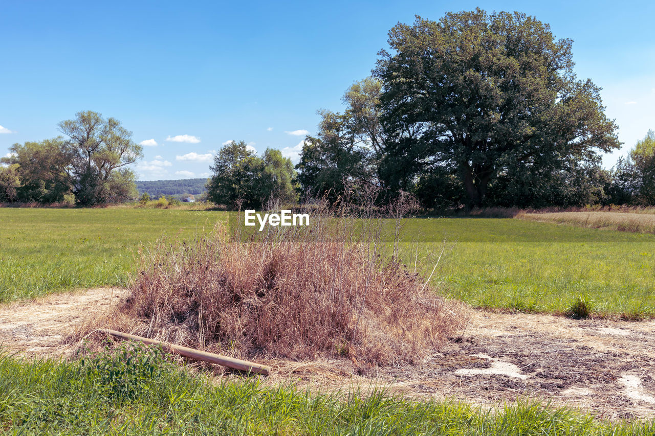 SCENIC VIEW OF LAND