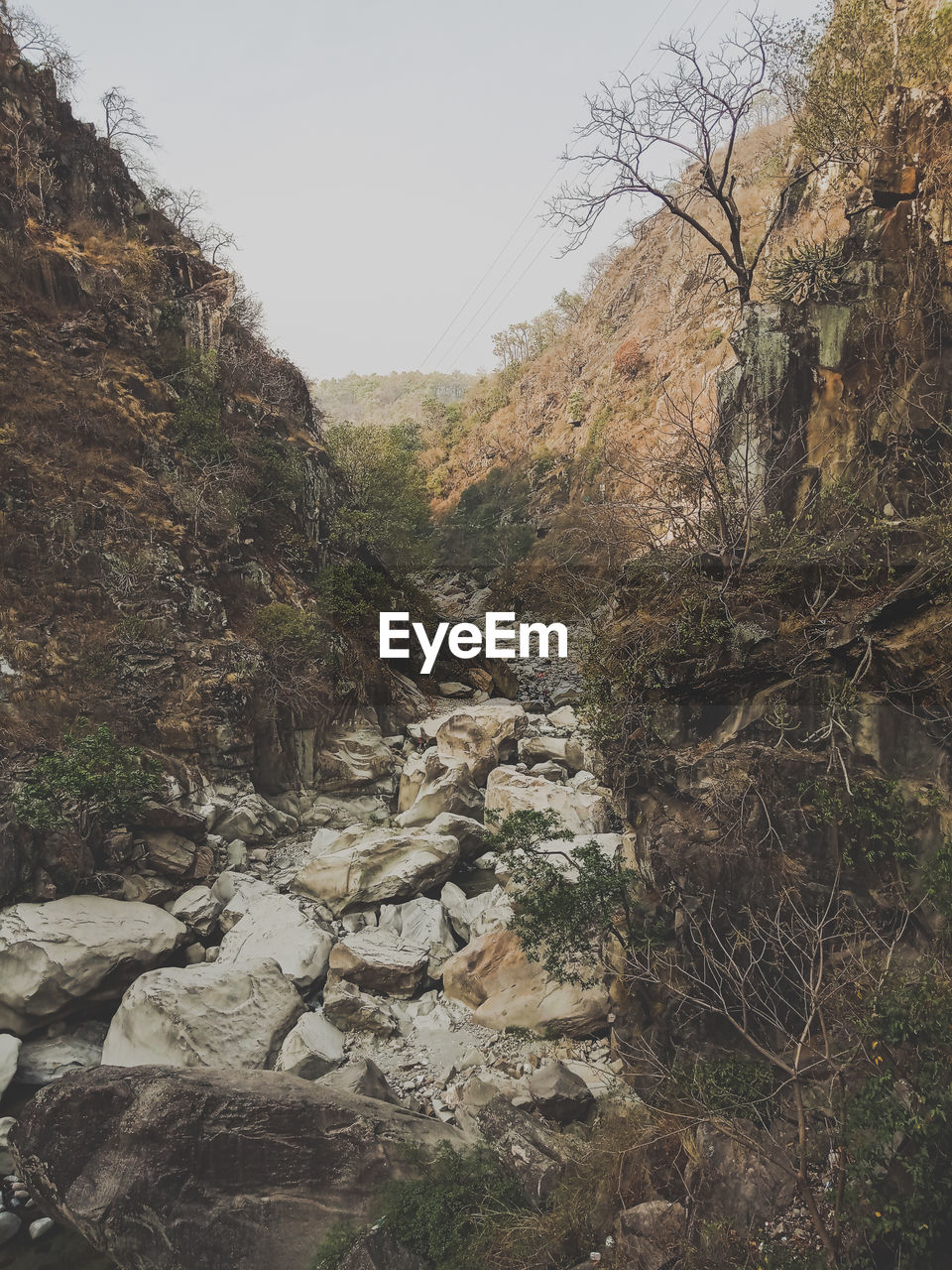 PLANTS GROWING ON ROCKS AGAINST SKY