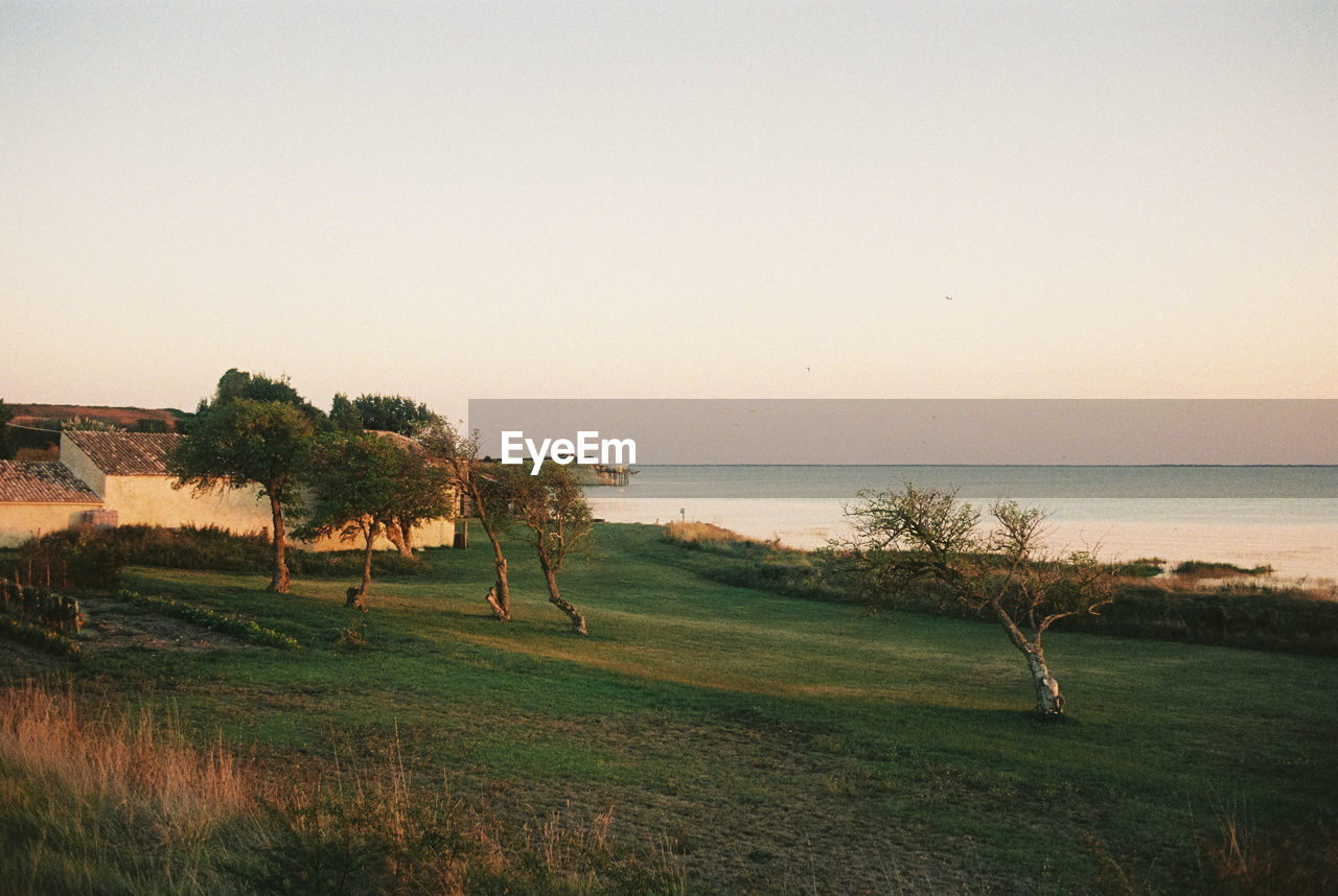 Sunset view on the french countryside near bordeaux. shot on 35mm kodak portra 800 film.