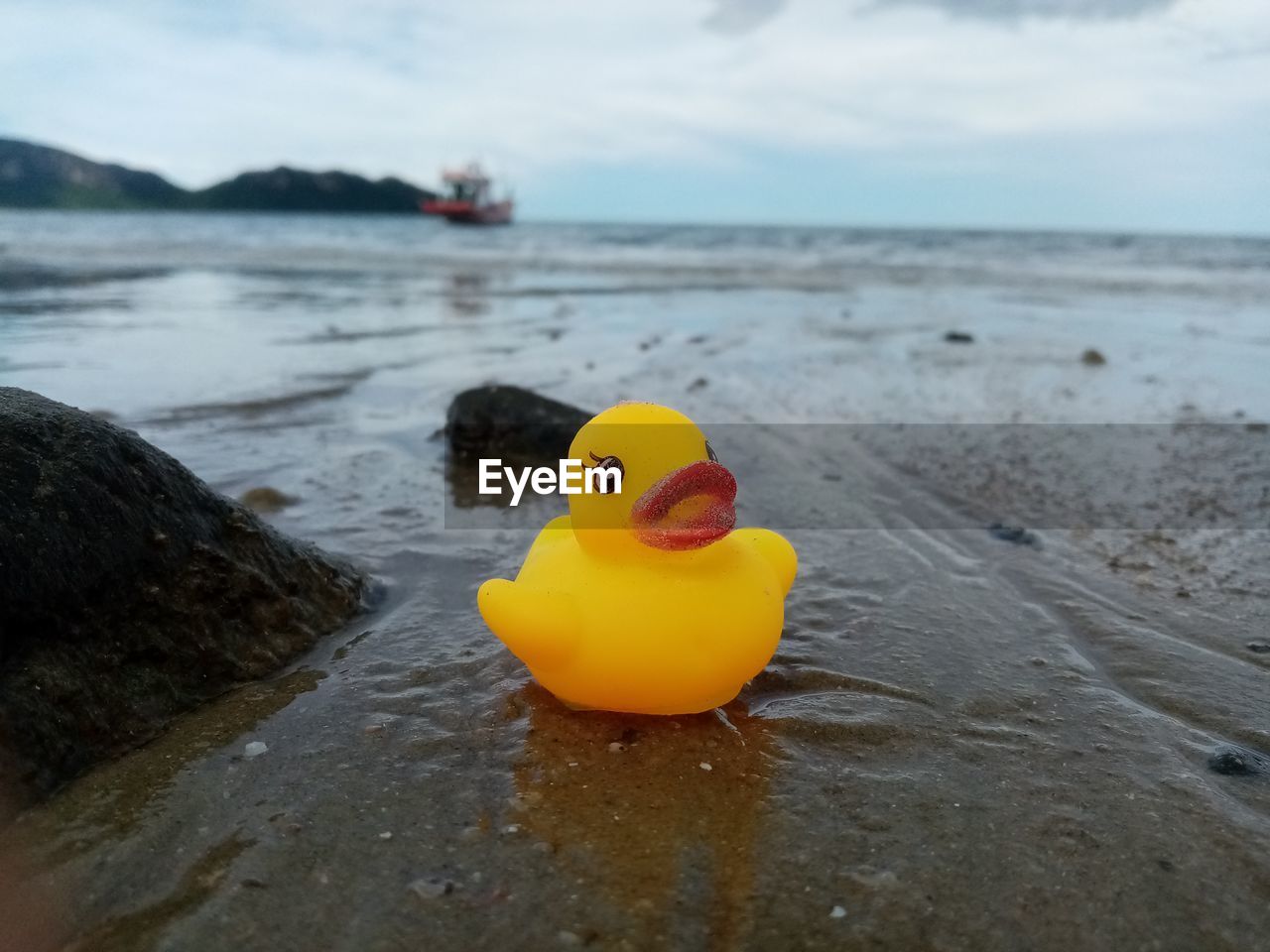 CLOSE-UP OF YELLOW TOY ON SHORE