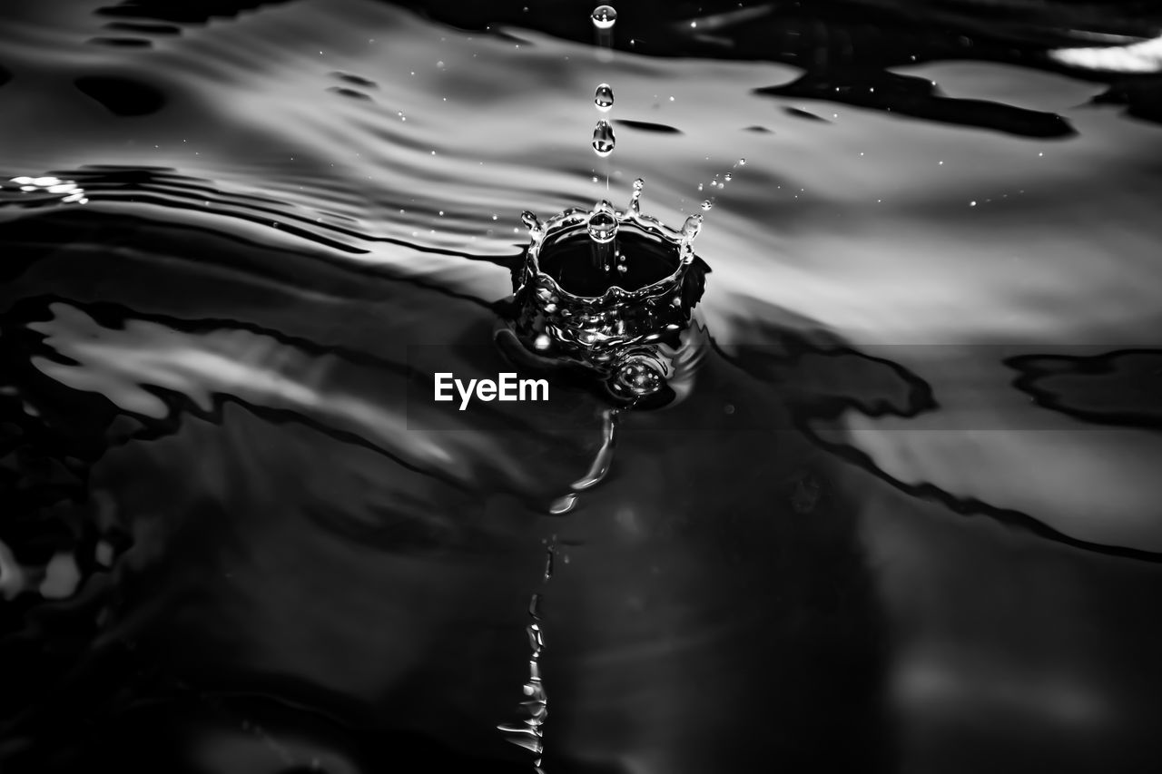 Splashes and waves close up from water drops on a liquid surface. black and white photo.