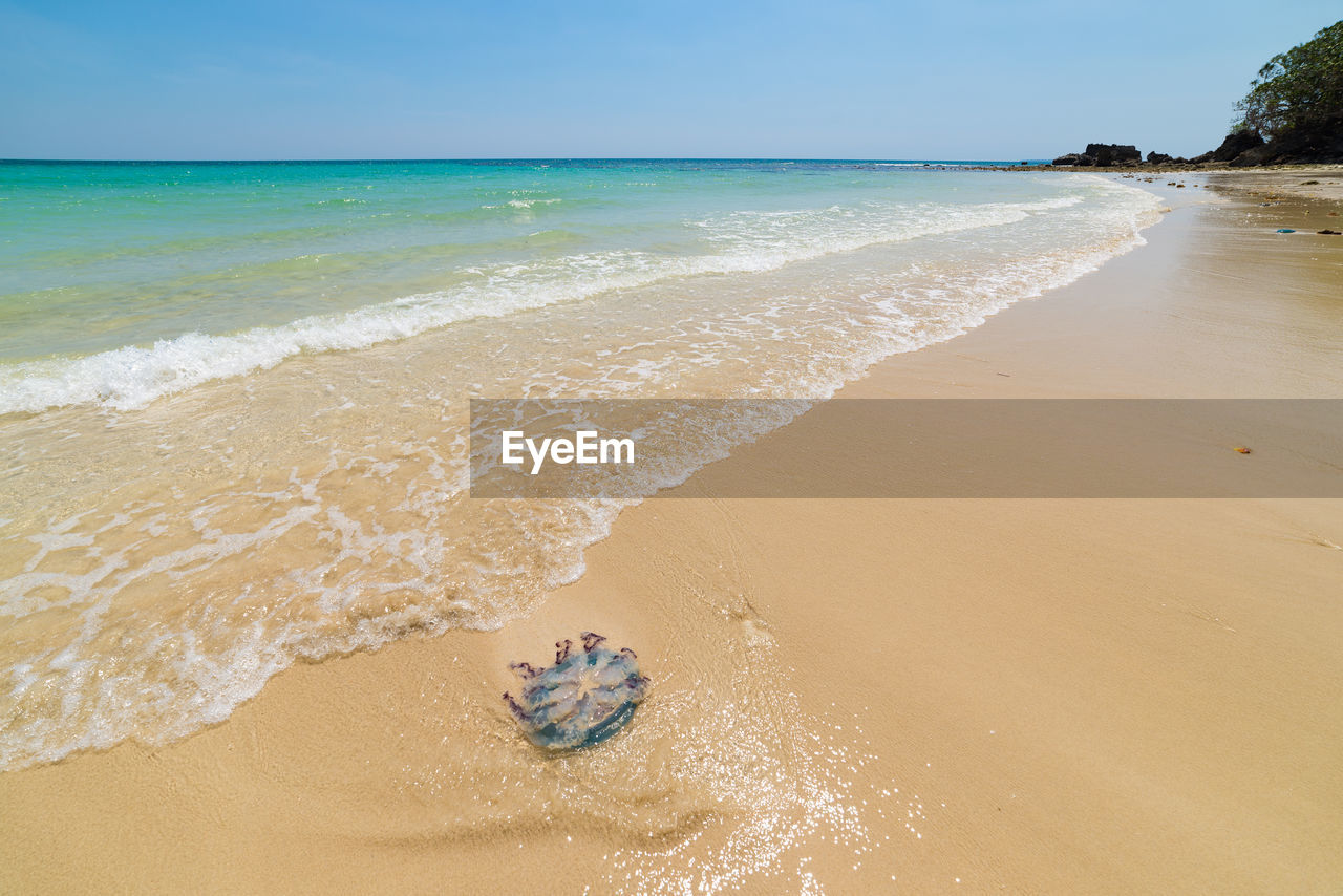 SCENIC VIEW OF BEACH