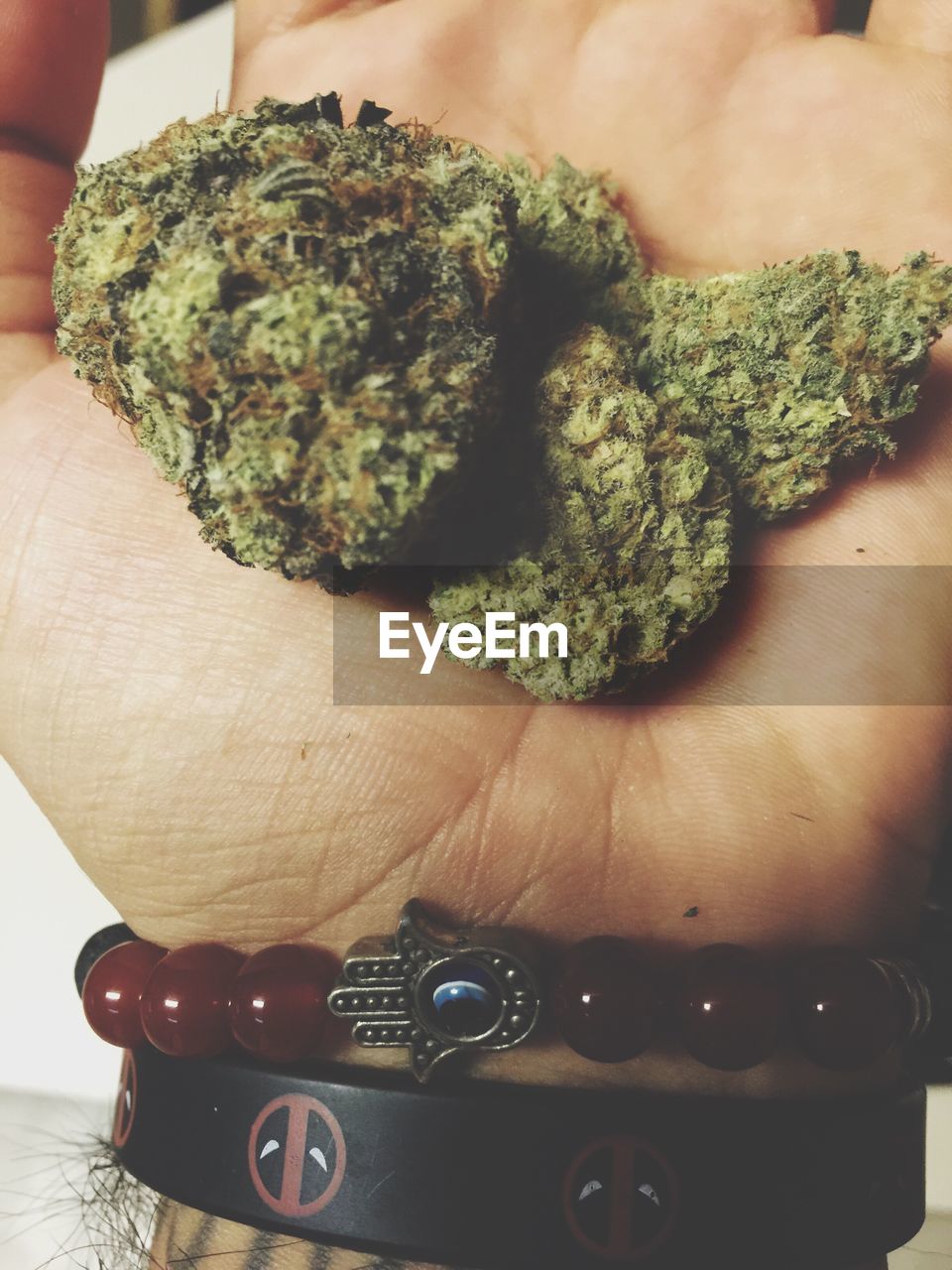 Close-up of a hand holding marijuana