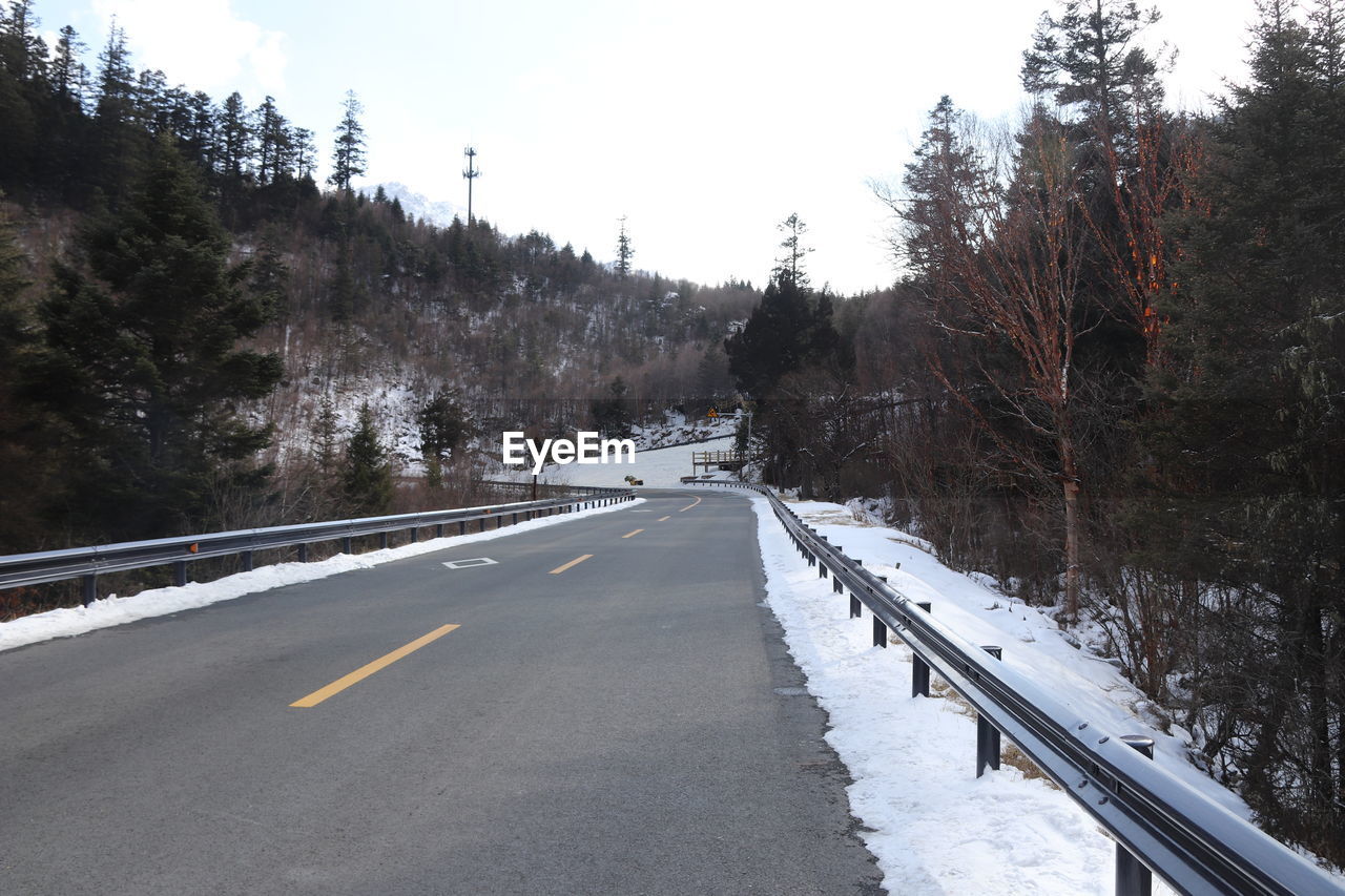 ROAD AMIDST TREES DURING WINTER