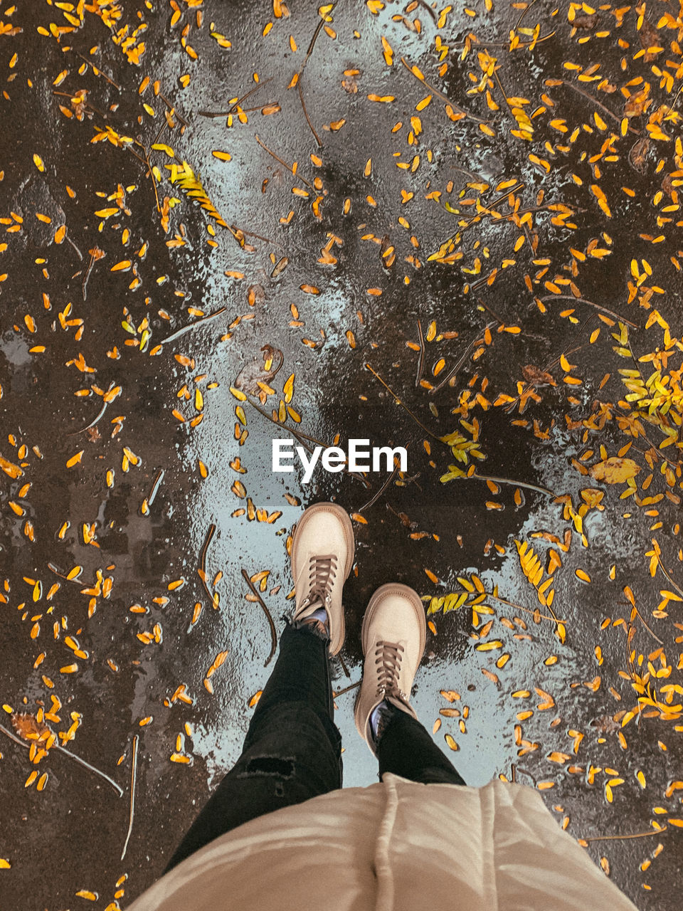 Foots standing on maple leaves during autumn