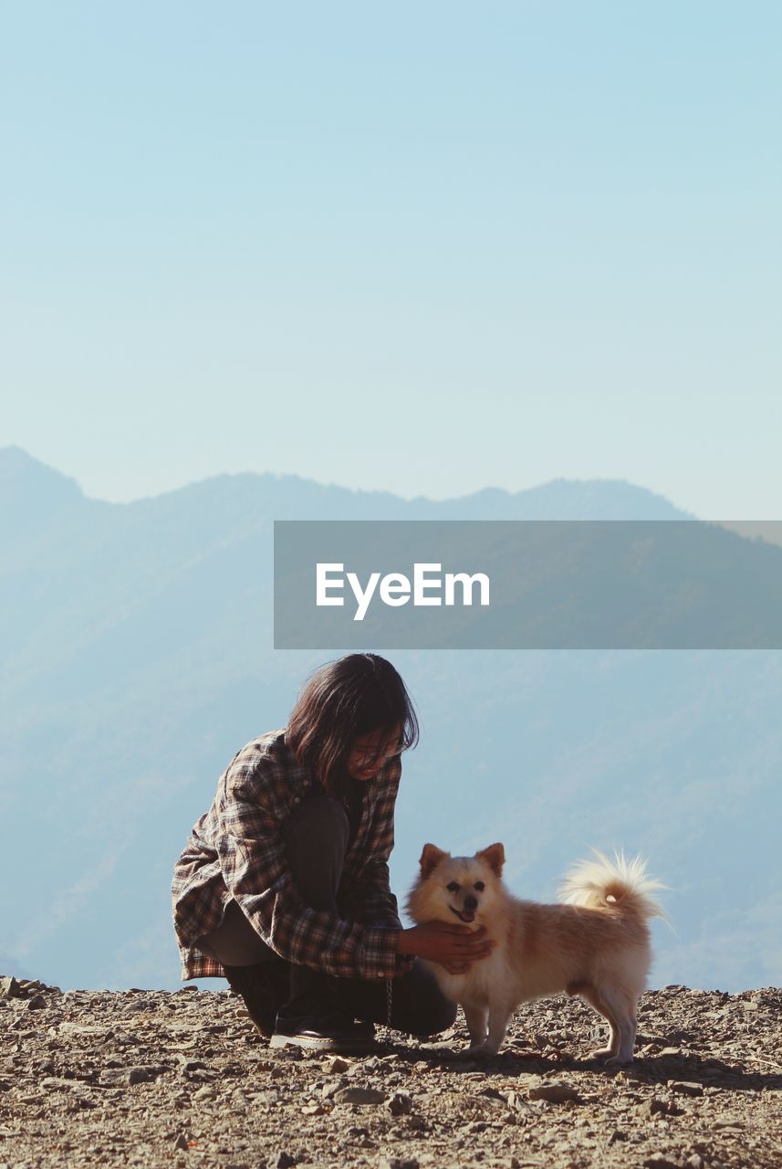 View of a dog on mountain against clear sky