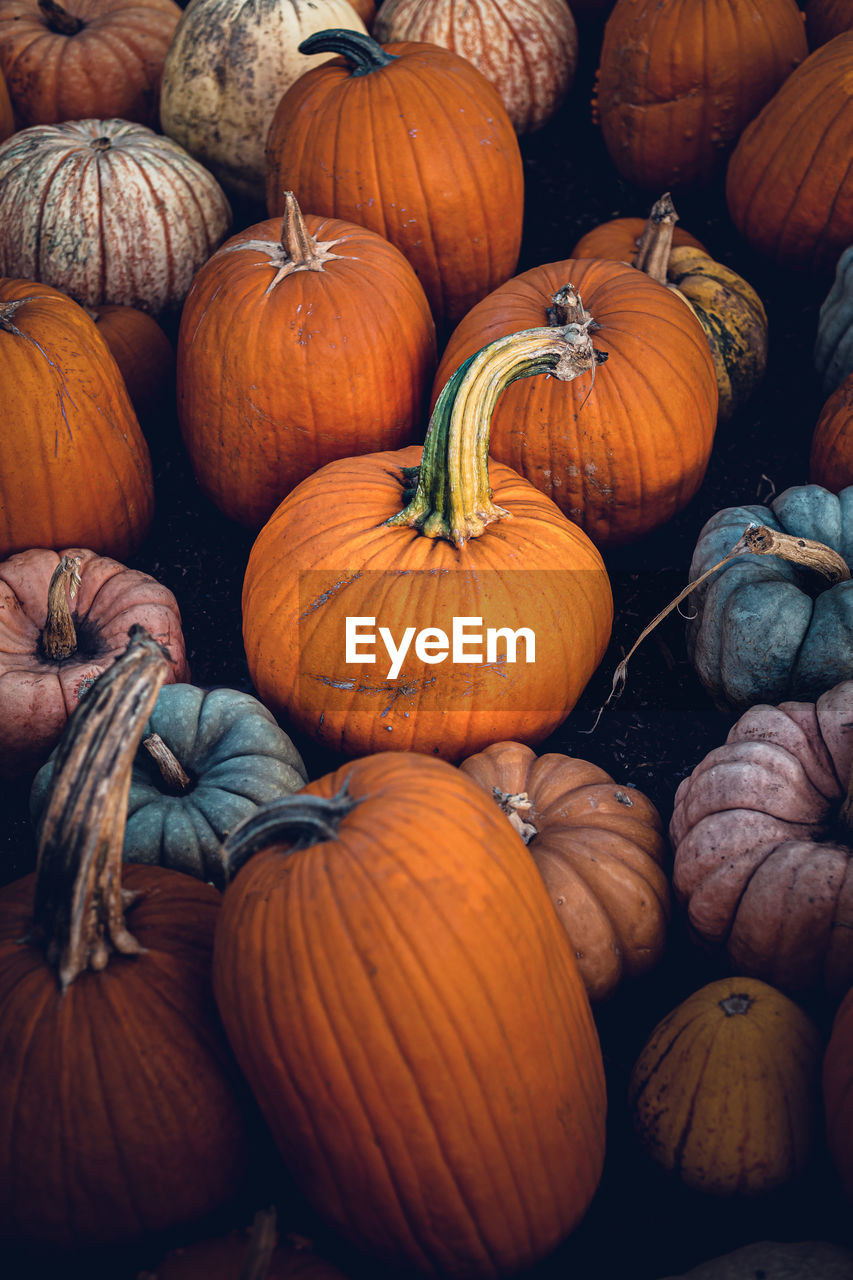 Full frame shot of pumpkins for sale