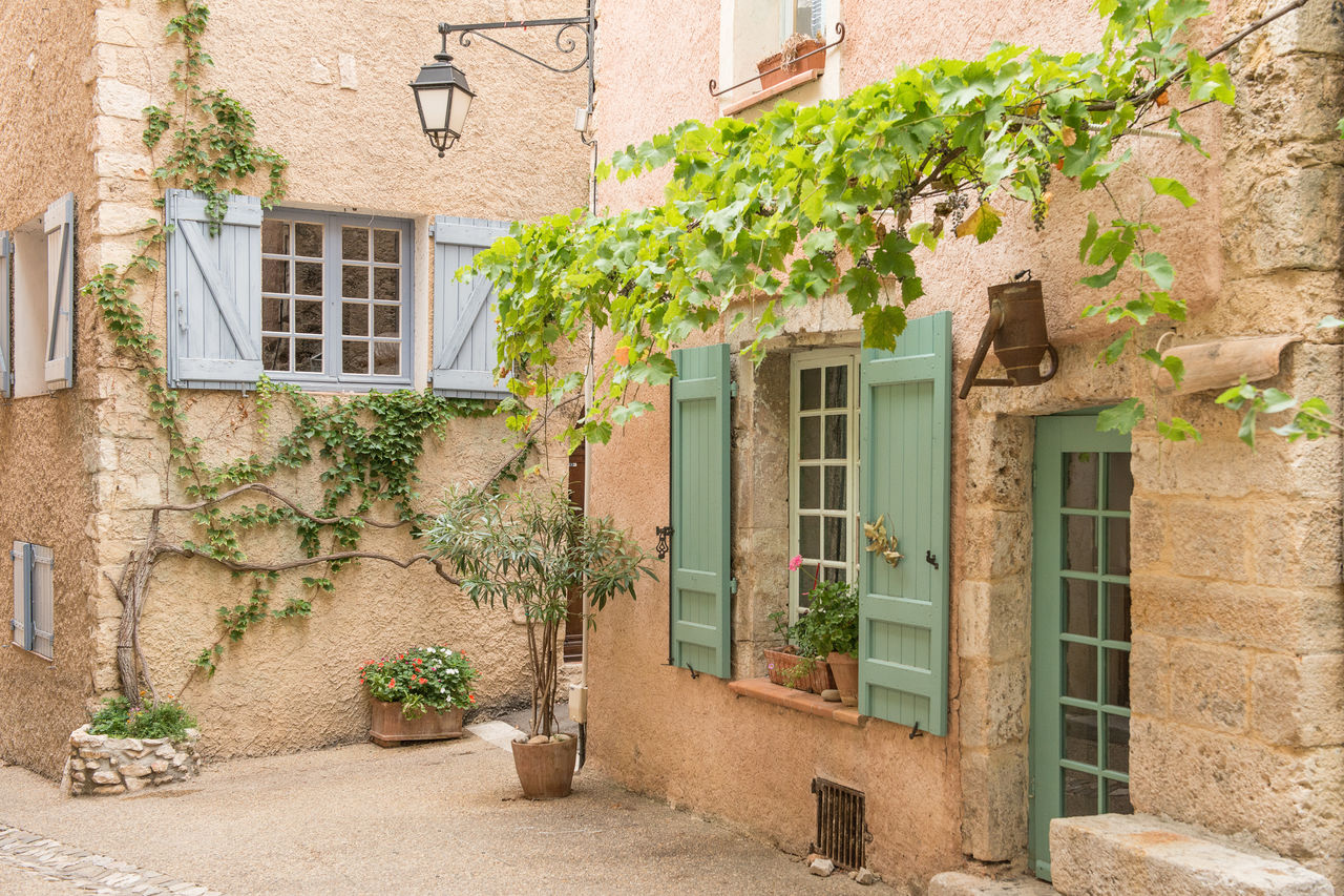 POTTED PLANTS AGAINST BUILDING