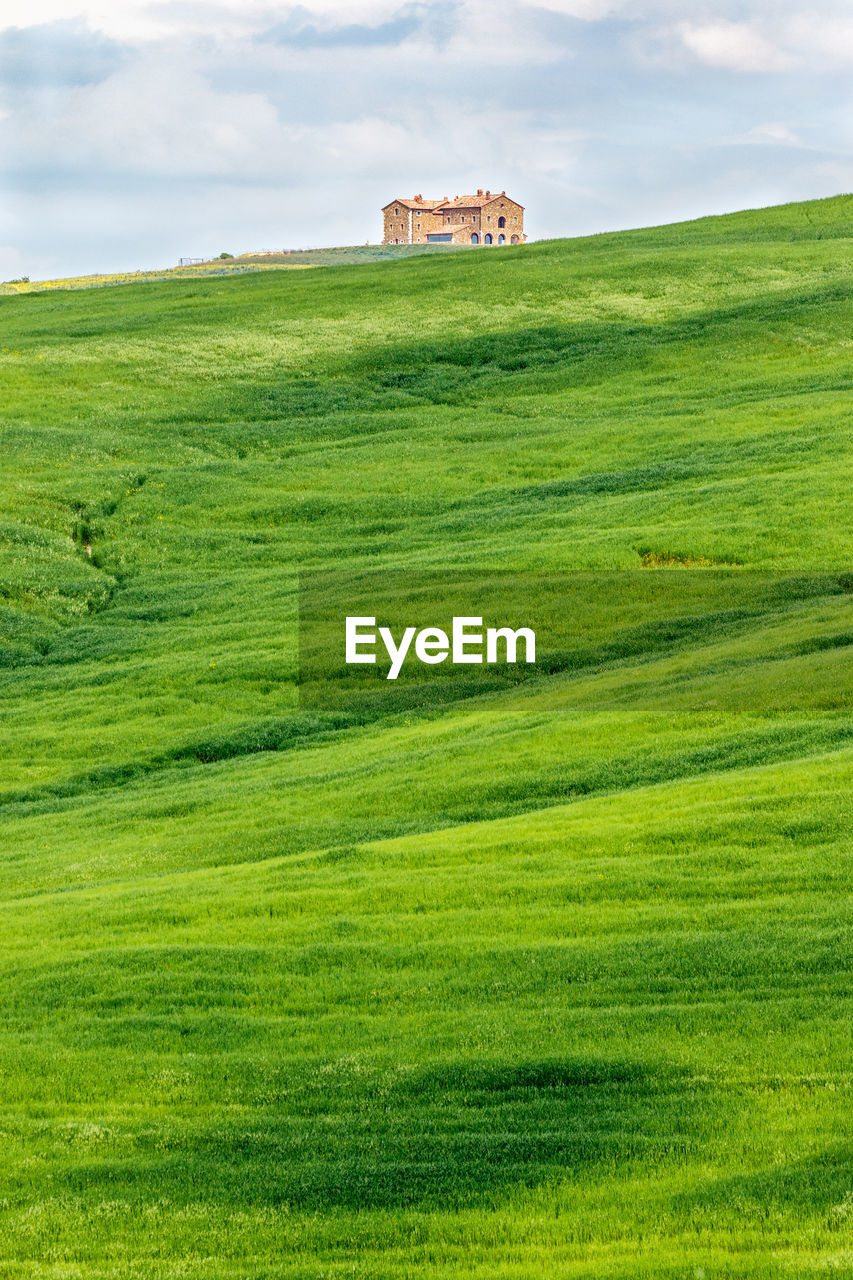 Scenic view of grassy field against sky