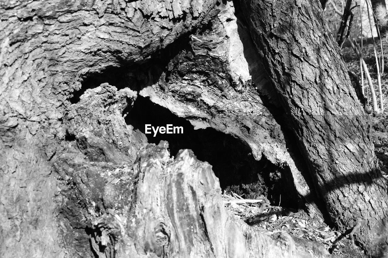 FULL FRAME SHOT OF ROCK FORMATION