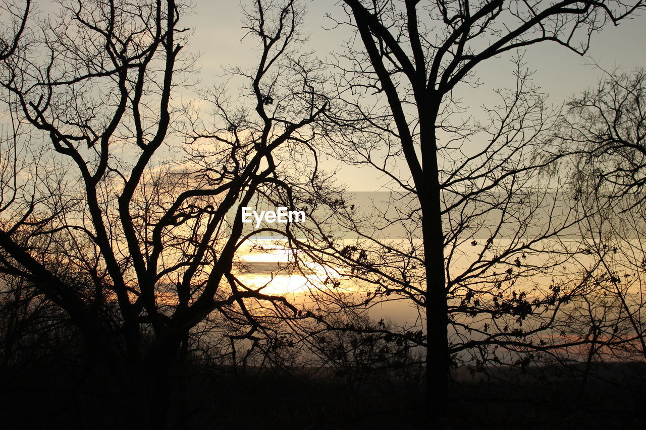 SILHOUETTE OF BARE TREES AGAINST SKY AT SUNSET