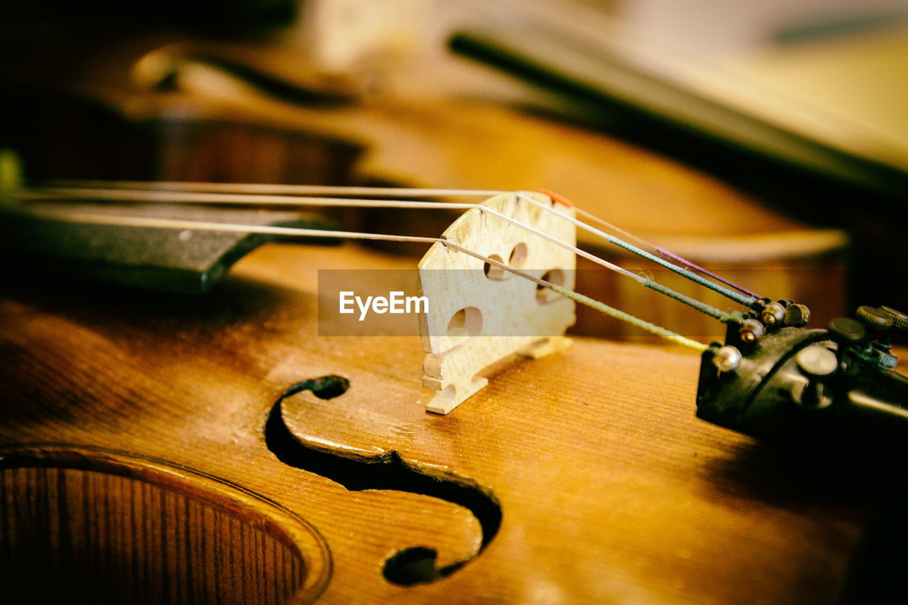 Extreme close-up of violin string