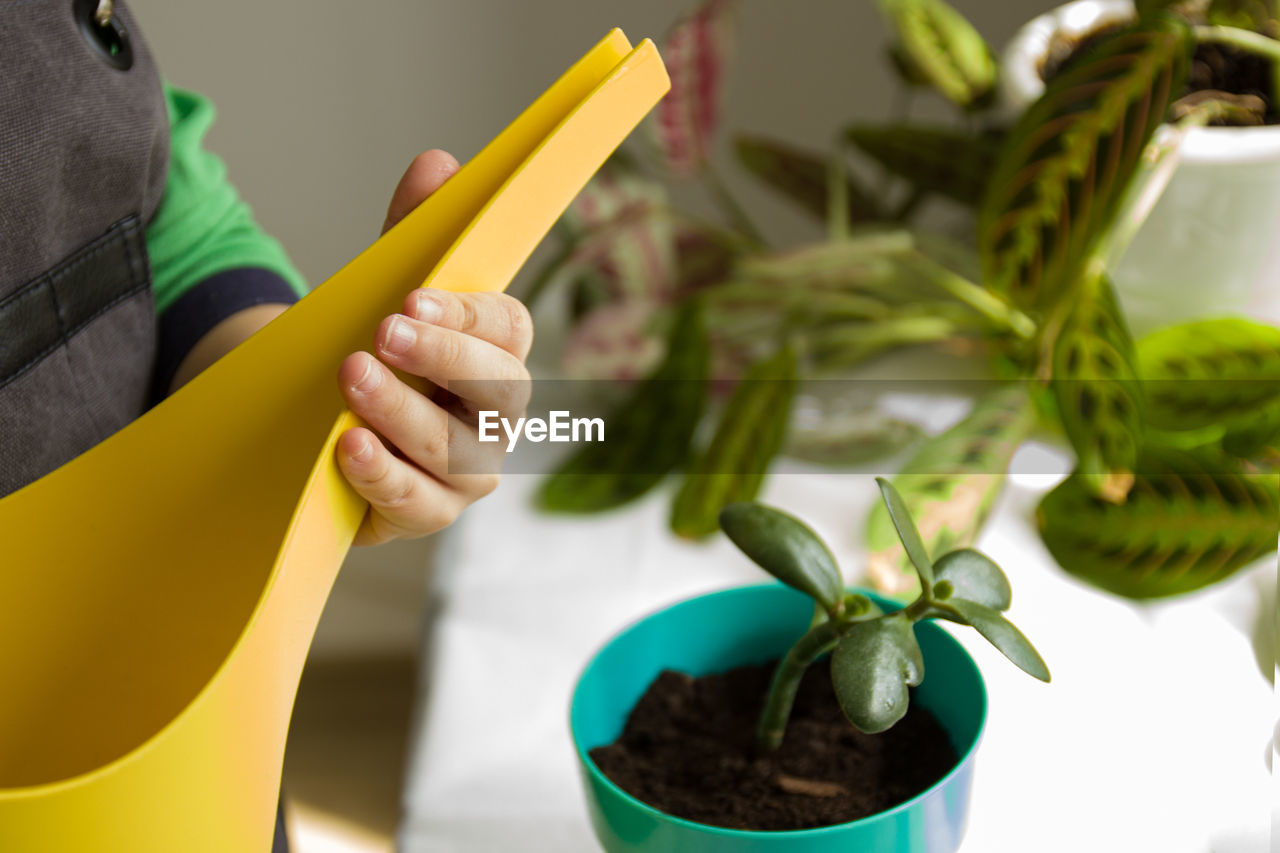 Baby hands watered from yellow watering plant in pot