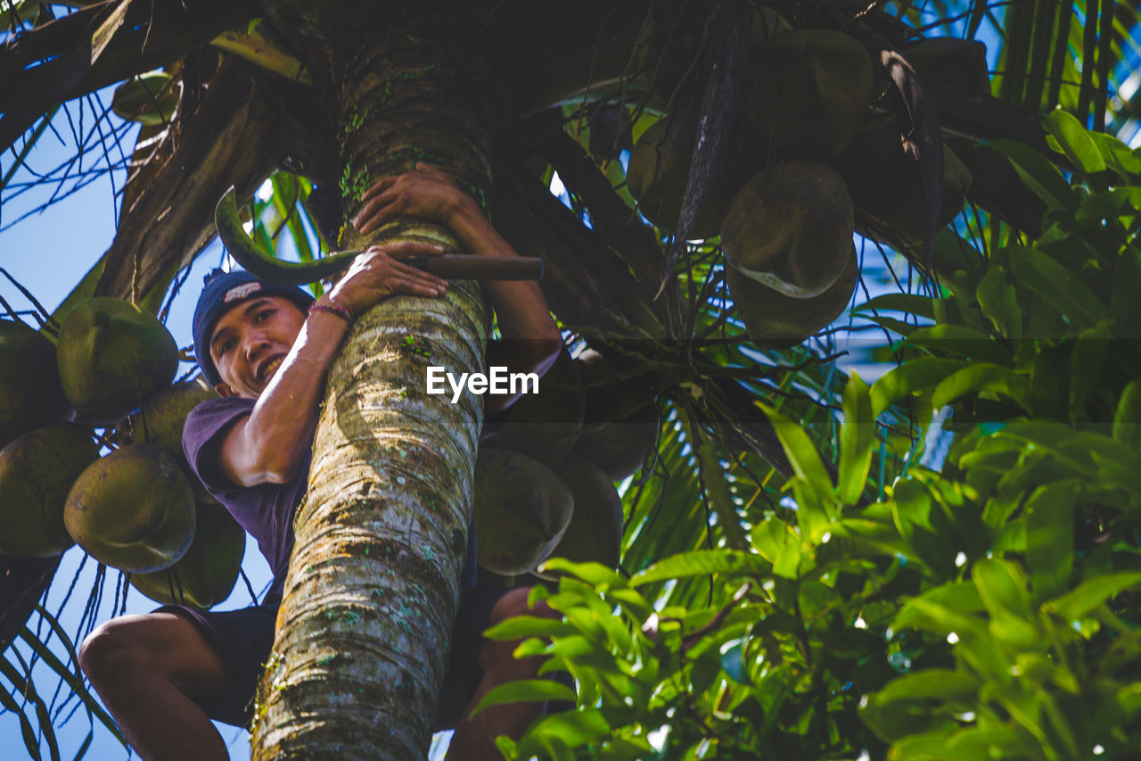 LOW ANGLE VIEW OF WOMAN ON TREE