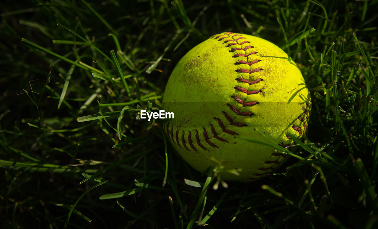 High angle view of baseball on grassy field