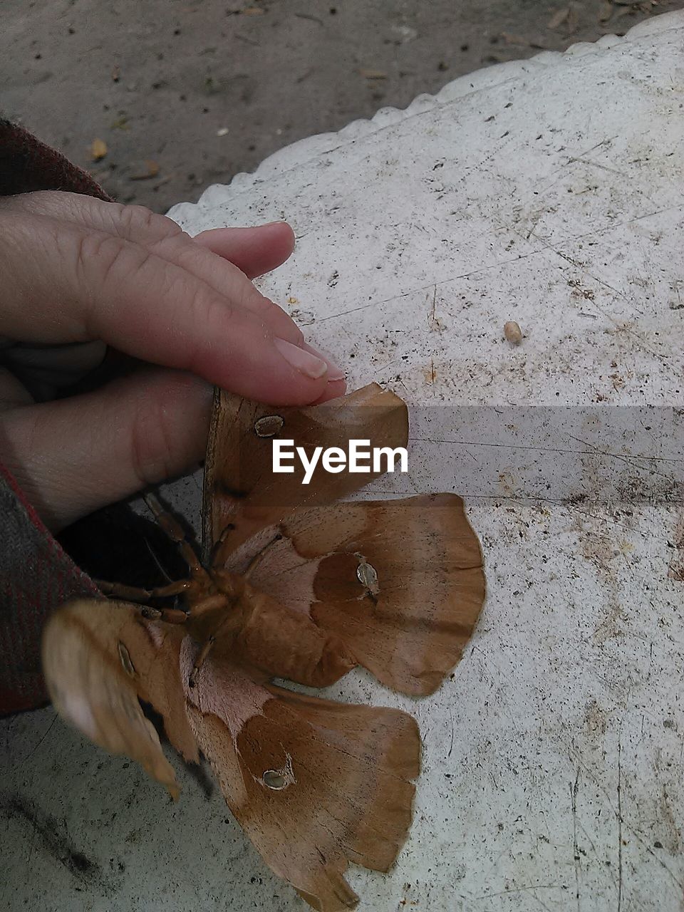 CLOSE-UP OF HAND