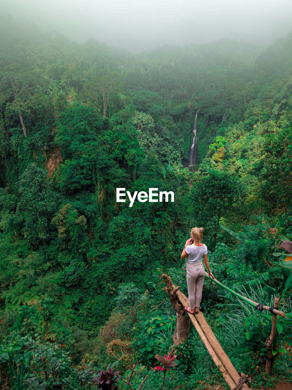 Man standing in forest