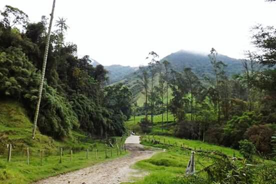 SCENIC VIEW OF MOUNTAINS