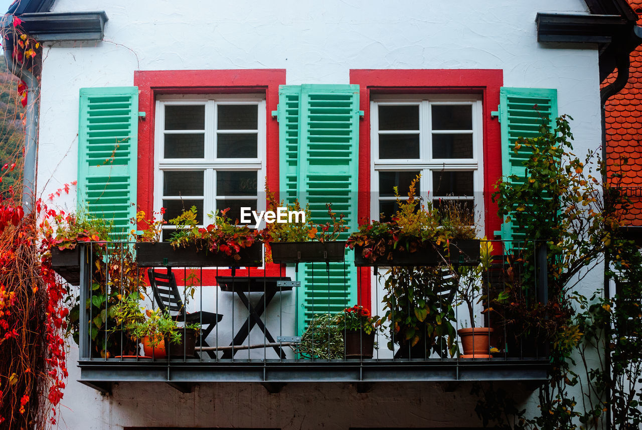 POTTED PLANTS ON BALCONY AGAINST BUILDING