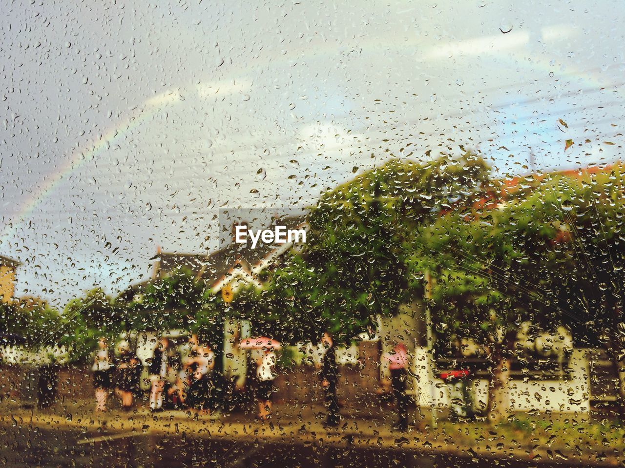 Close-up of water drops on glass