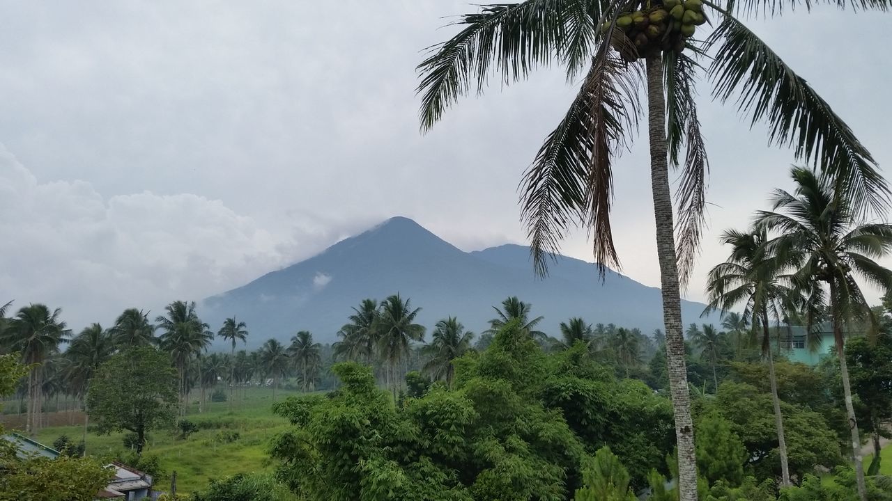 Scenics view of trees with mountains against cloudy sky