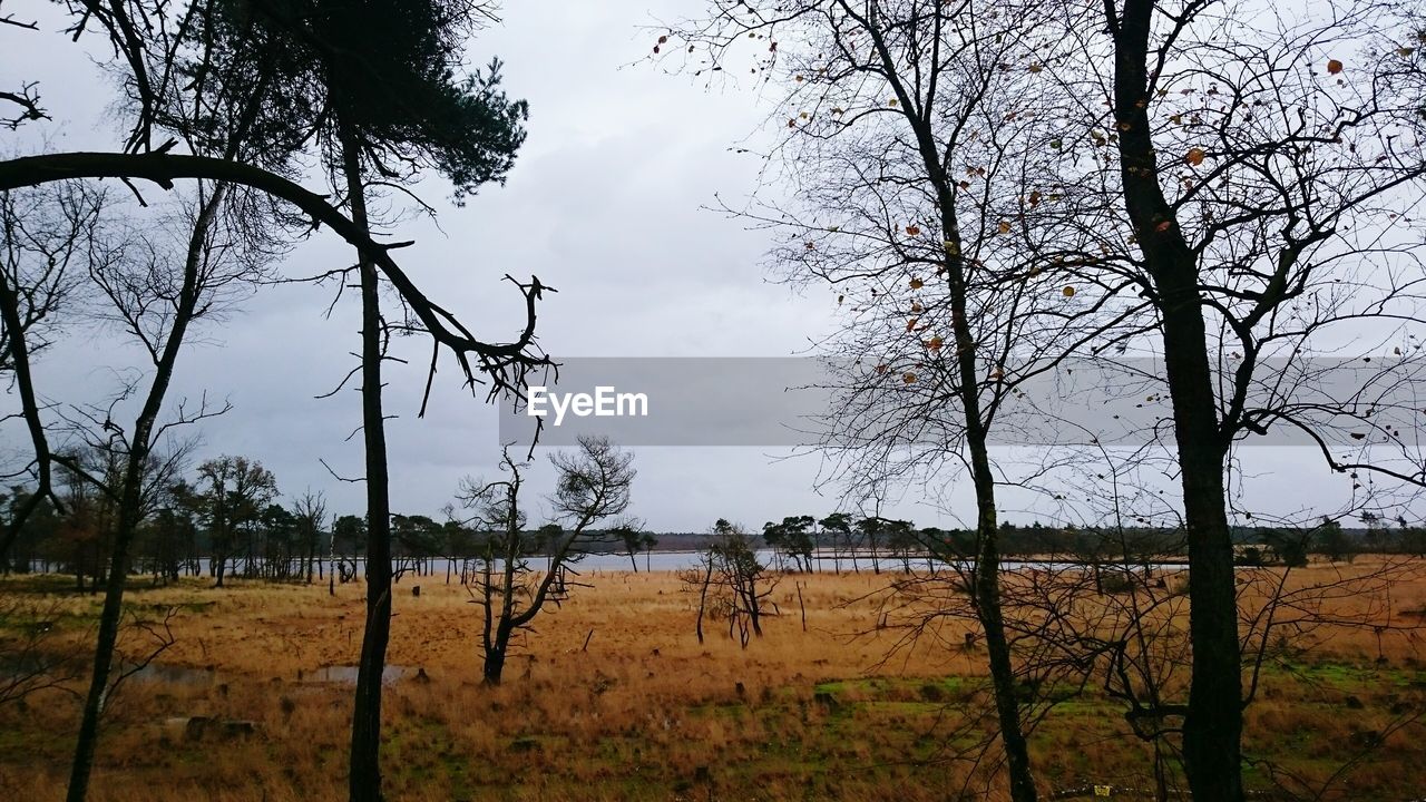 FENCE ON FIELD AGAINST SKY