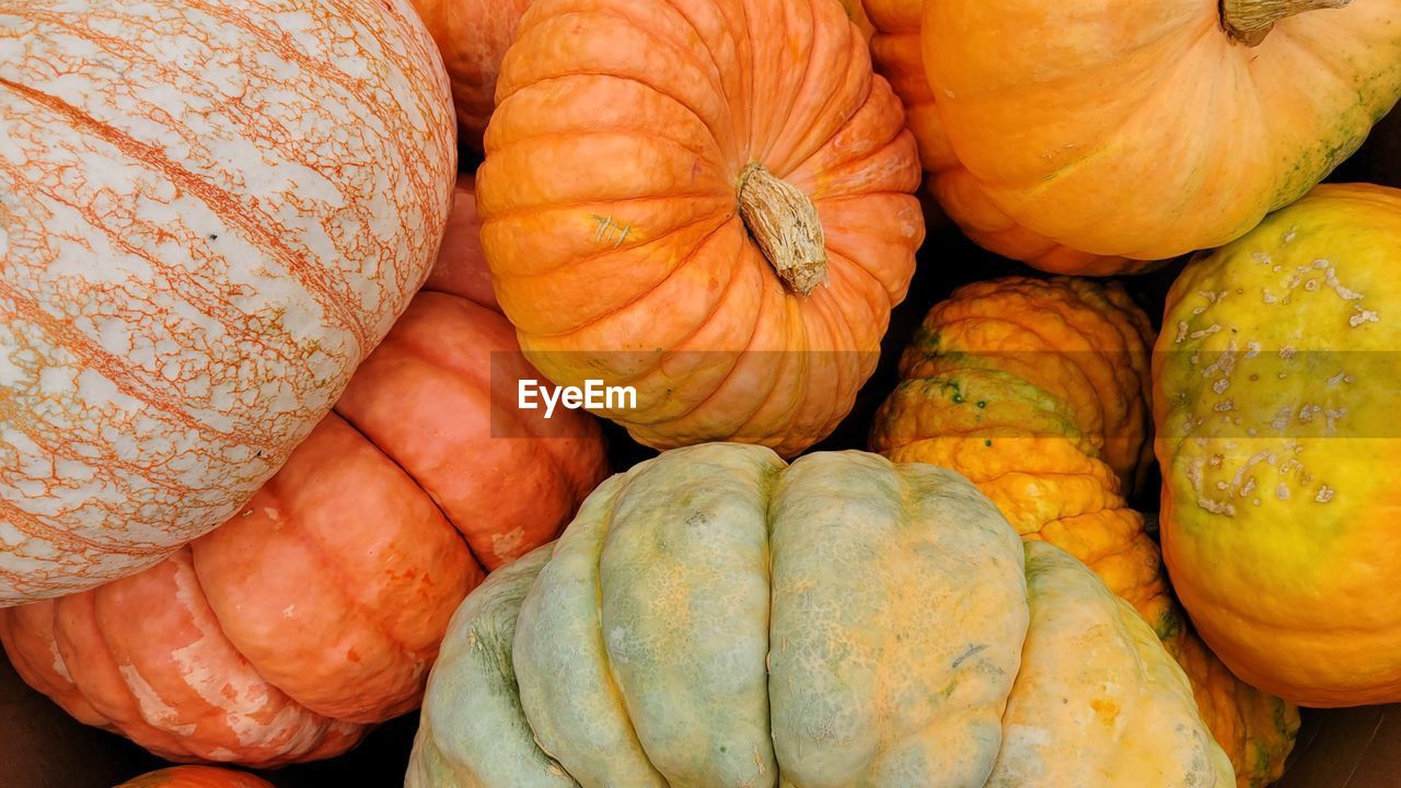 FULL FRAME SHOT OF PUMPKINS AT MARKET