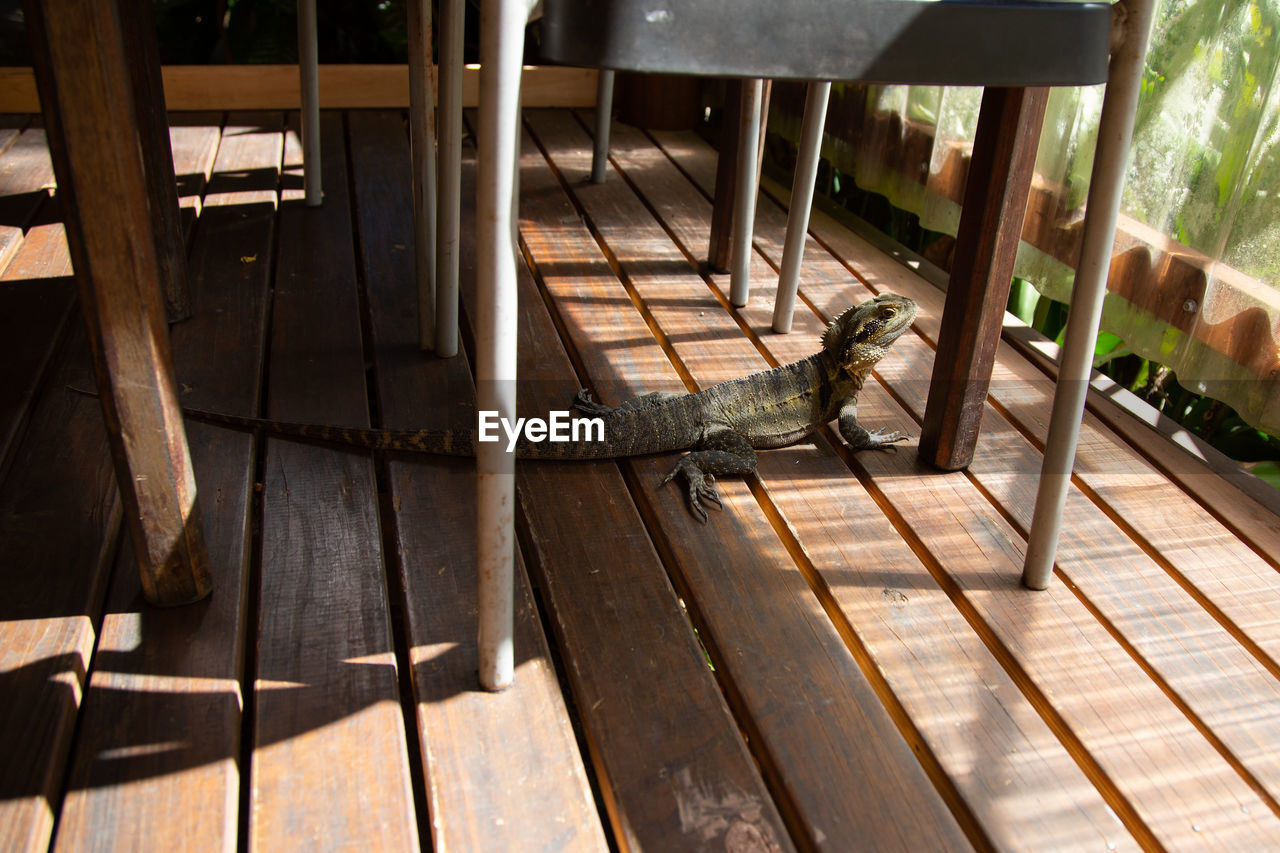 wood, seat, deck, chair, no people, architecture, furniture, nature, sunlight, day, table, shadow, built structure, outdoors, relaxation