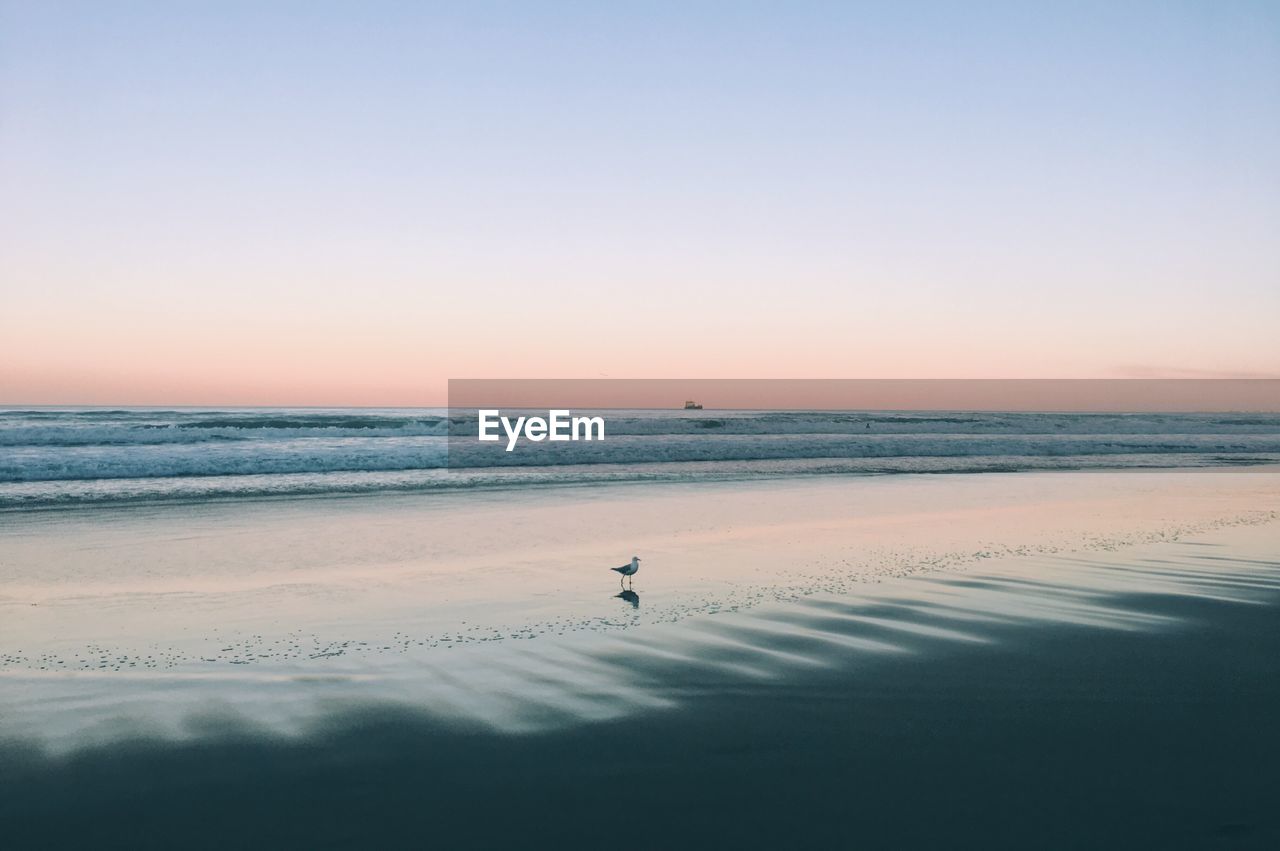 Scenic view of sea against clear sky during sunset