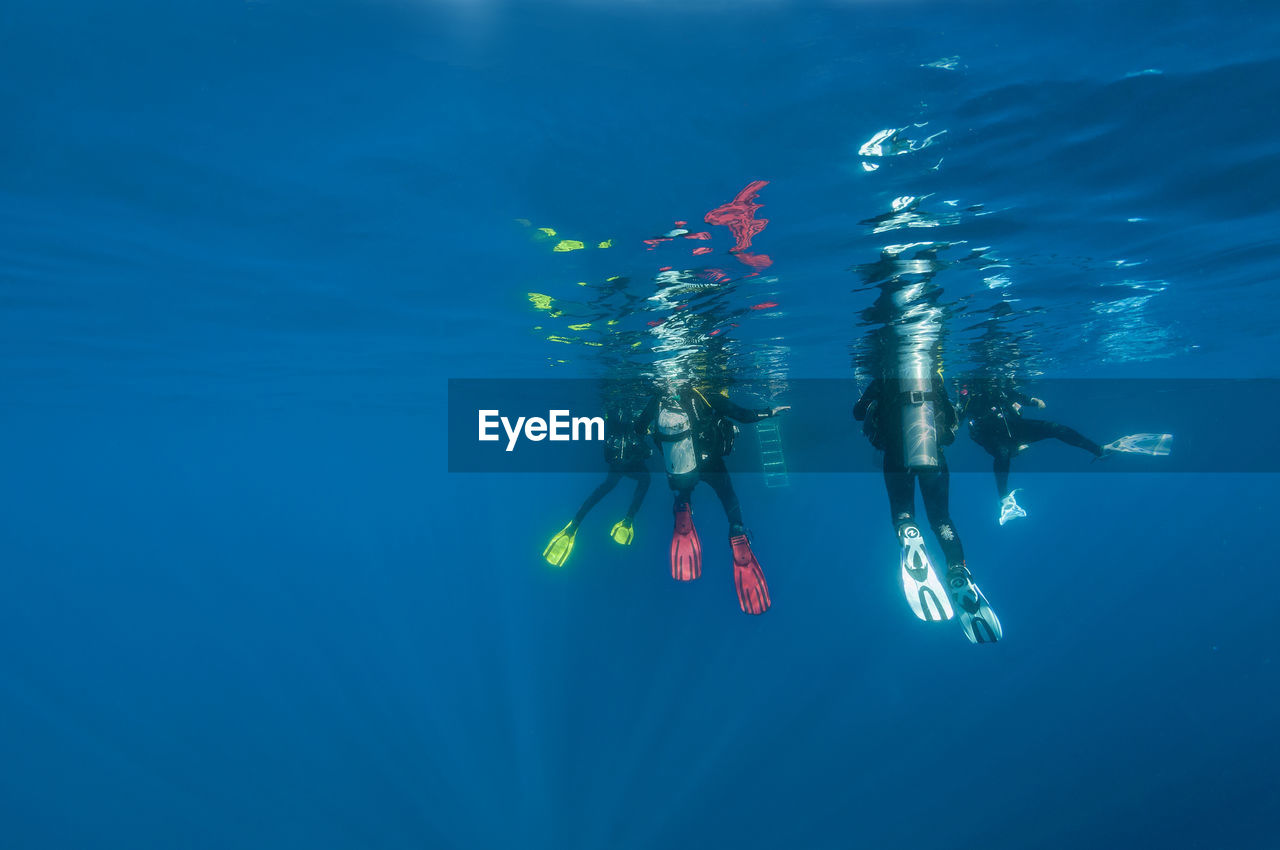 View of scuba divers in sea