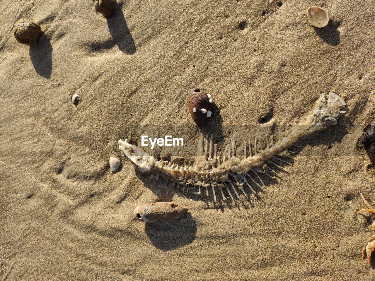 HIGH ANGLE VIEW OF PEOPLE ON SAND