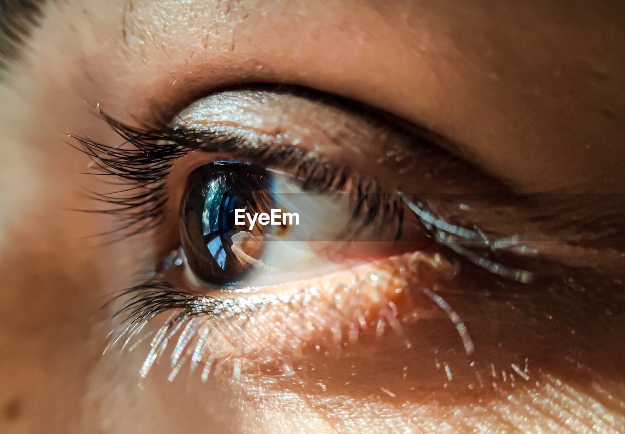 Close-up of woman eye