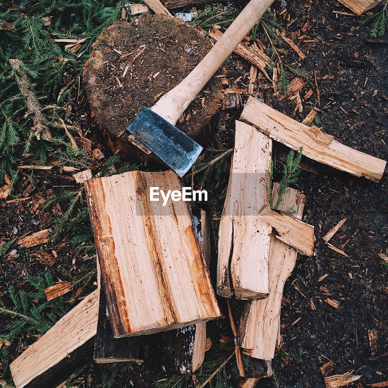HIGH ANGLE VIEW OF WOOD BY TREE STUMP