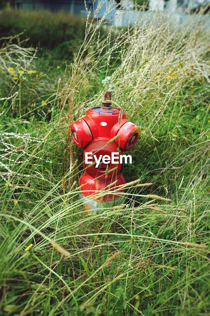 High angle view of fire hydrant amidst plants on field