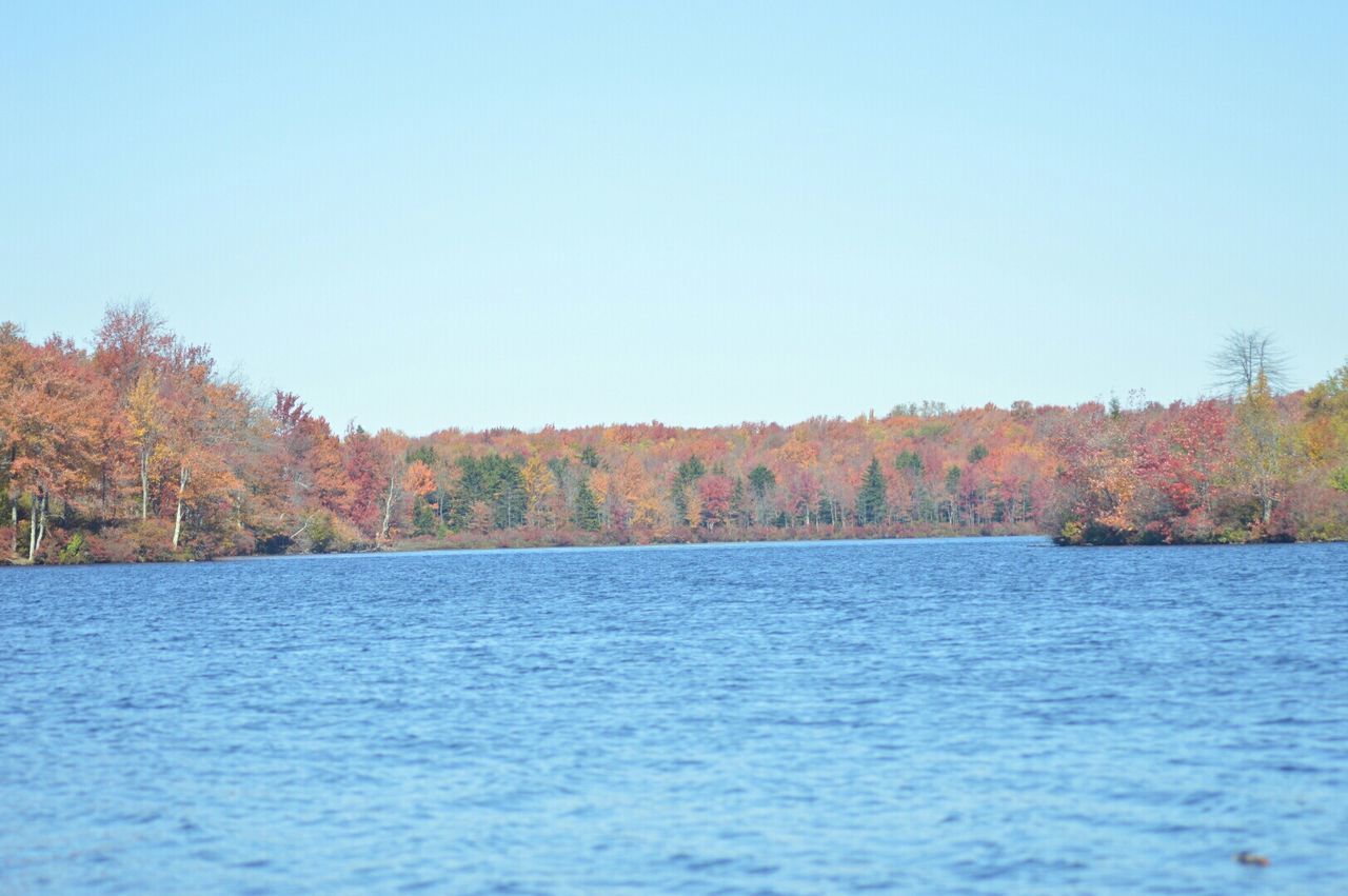 Scenic view of lake and trees against clear sky