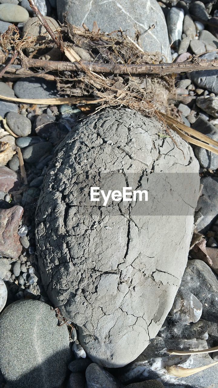 CLOSE-UP OF STONES ON ROCK