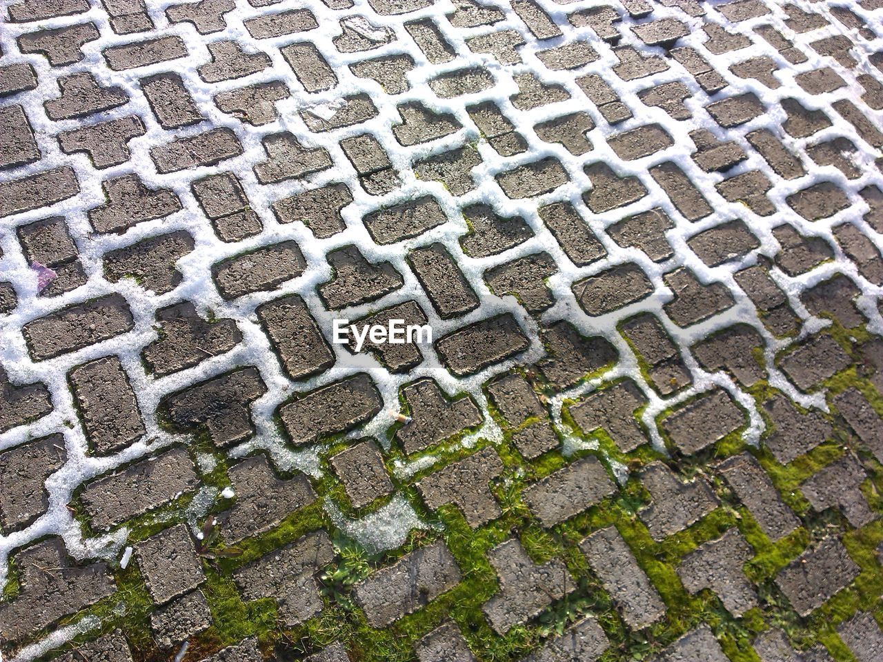 Moss and snow between cobblestones