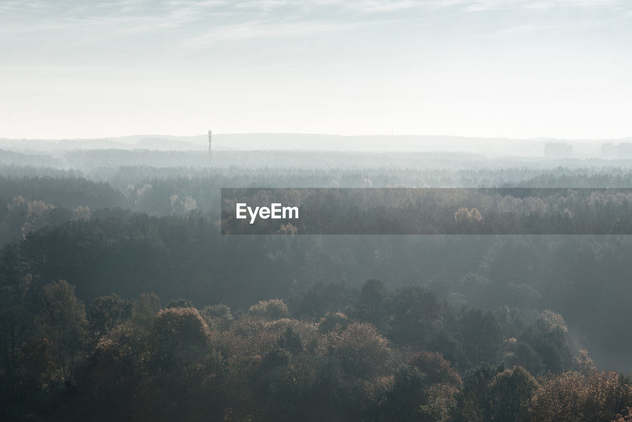 High angle view of trees on landscape against misty sky