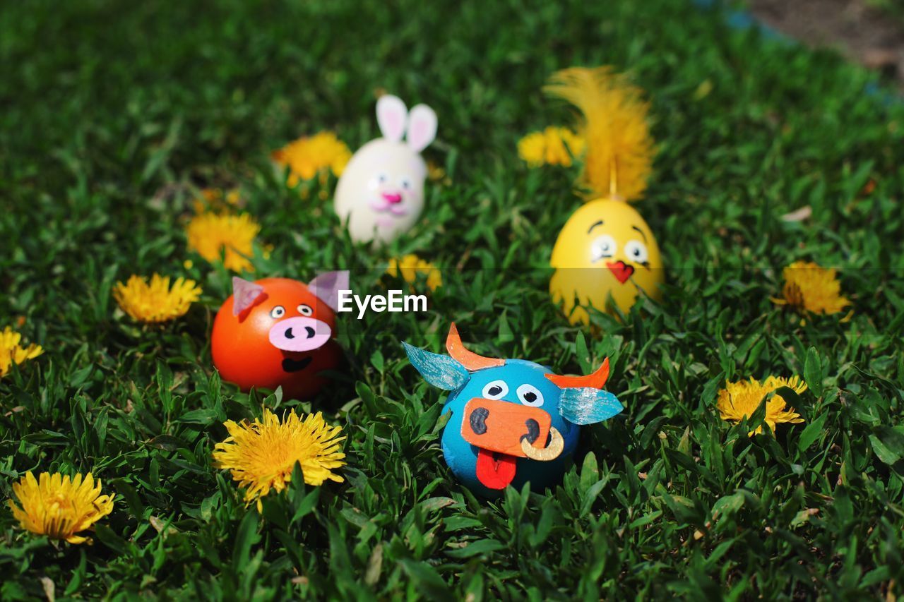 Easter eggs decorated as animals on grass